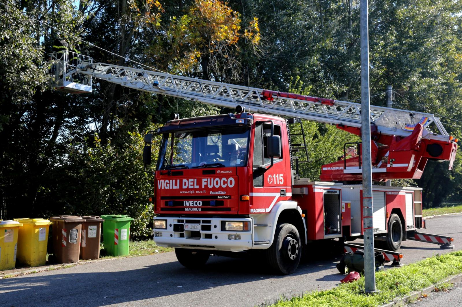 Forte maltempo, alberi pericolanti: viale chiuso, anche ai pedoni