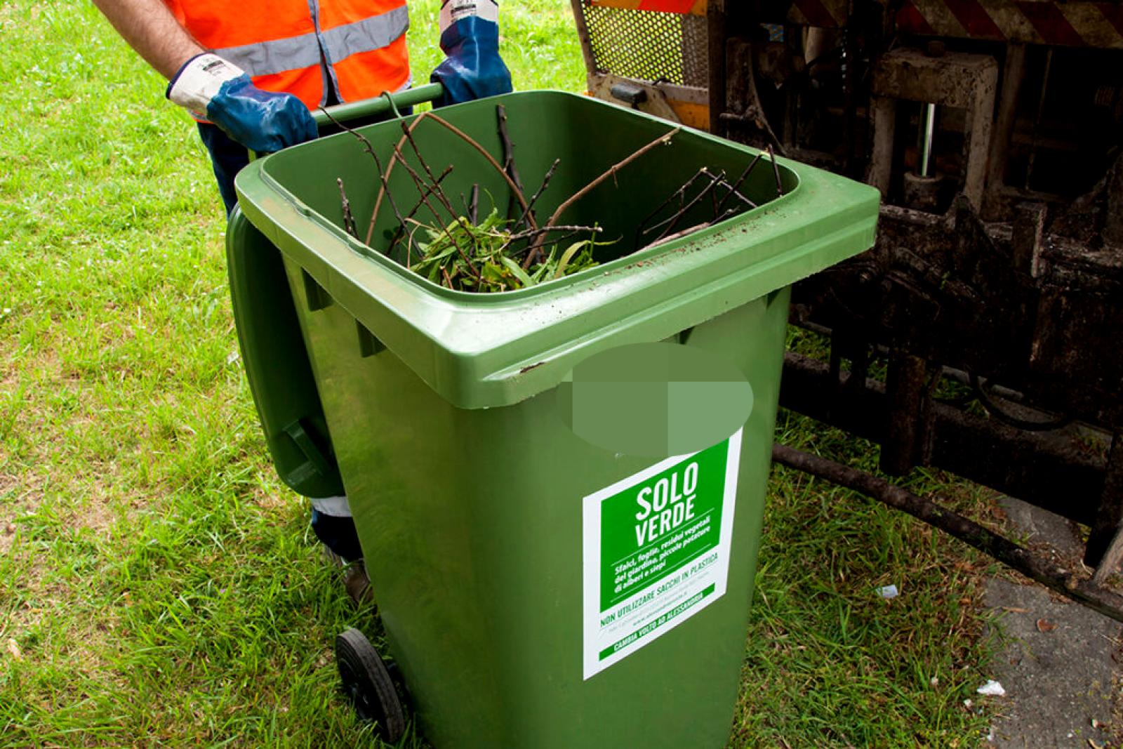 Cambia la raccolta del verde