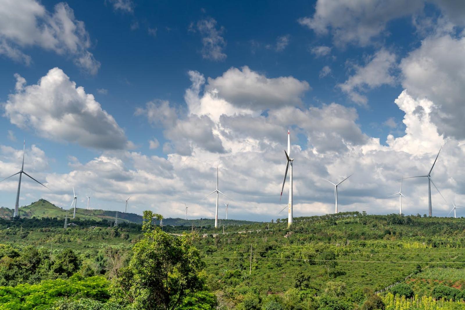 Eolico? "Si pu&ograve; fare solo tutelando la pesca"