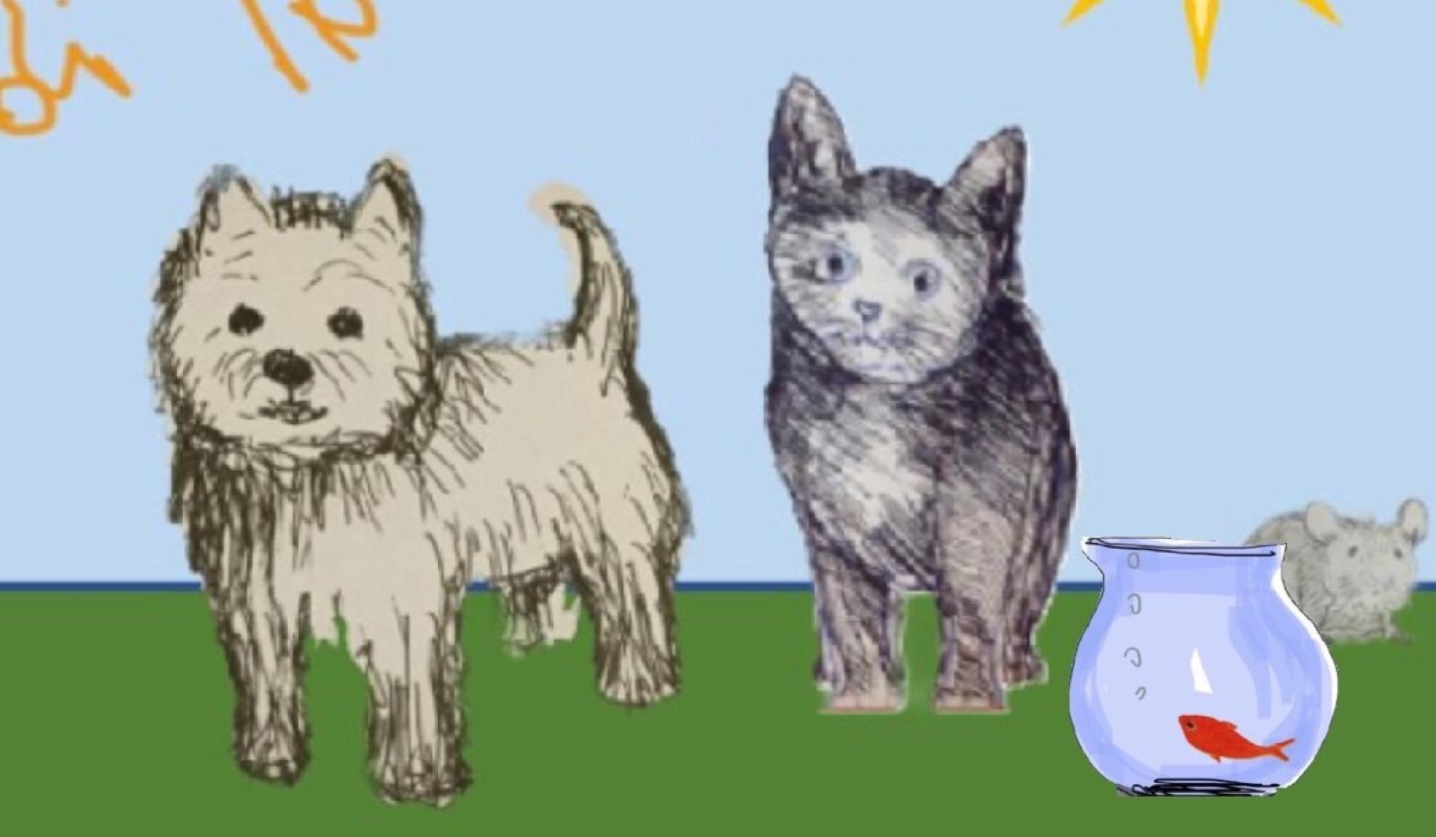 Continuano fino a Settembre i prestiti alla "Banca polesana di gatto Tomeo"