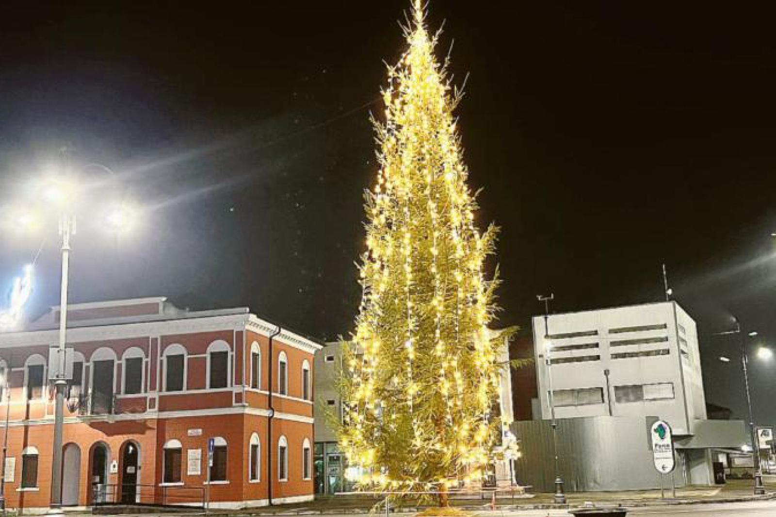 Ci saranno ben 11 alberi di Natale