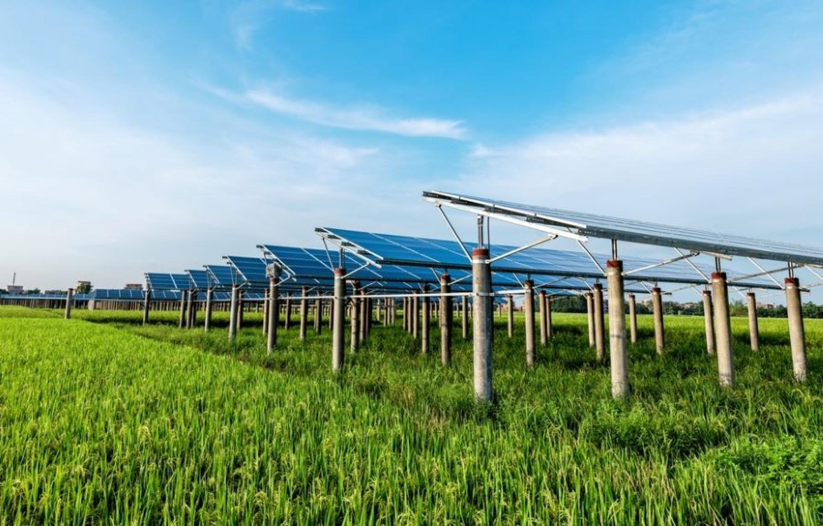 Il via libera al parco agrovoltaico in consiglio comunale