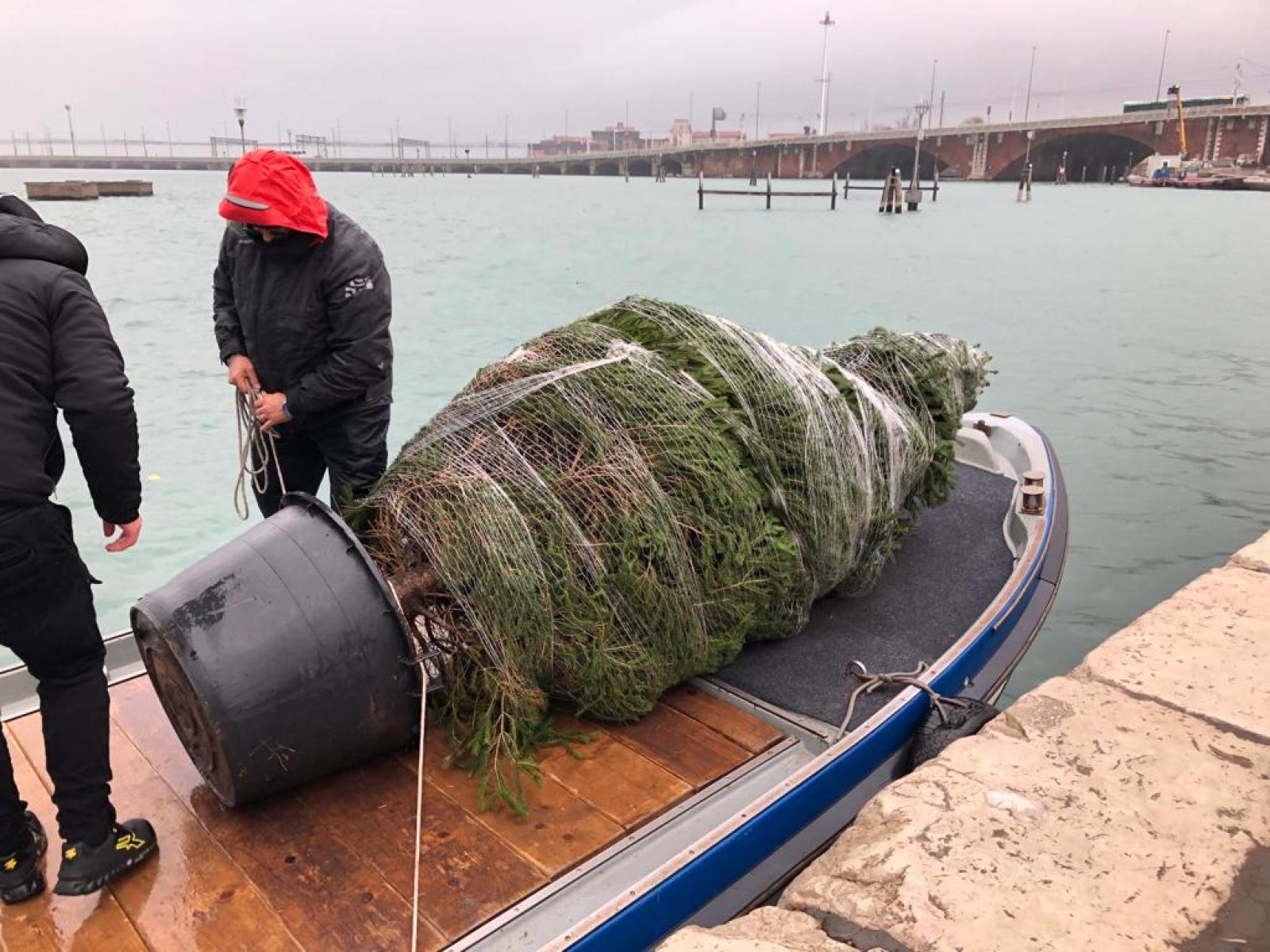 Filippo dona l'albero di Natale alla Regione