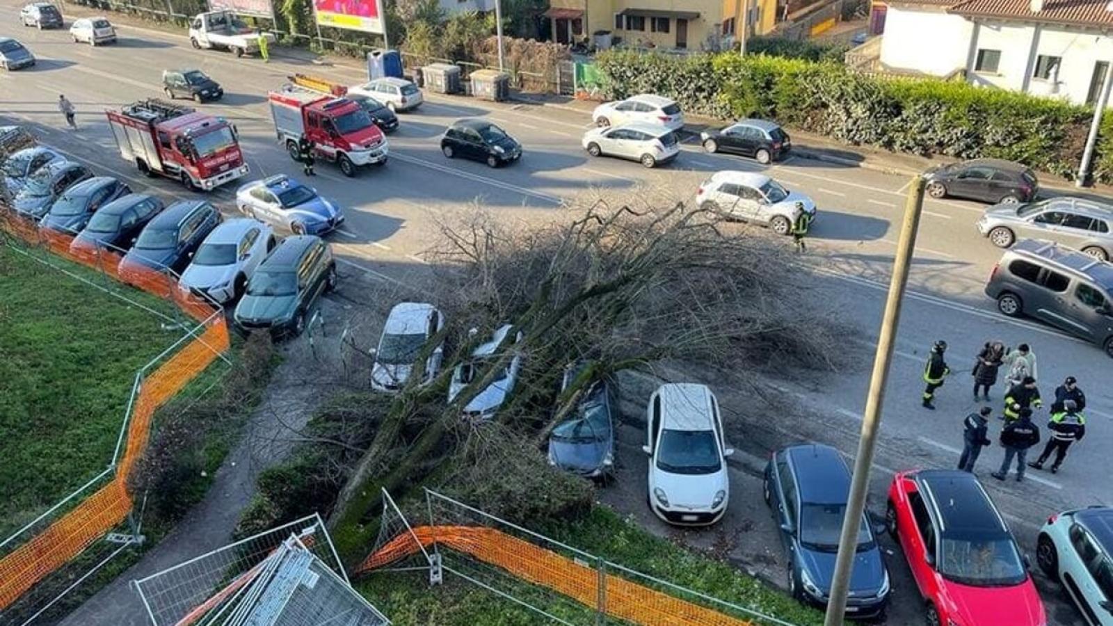 Albero si schianta sulle auto, un ferito