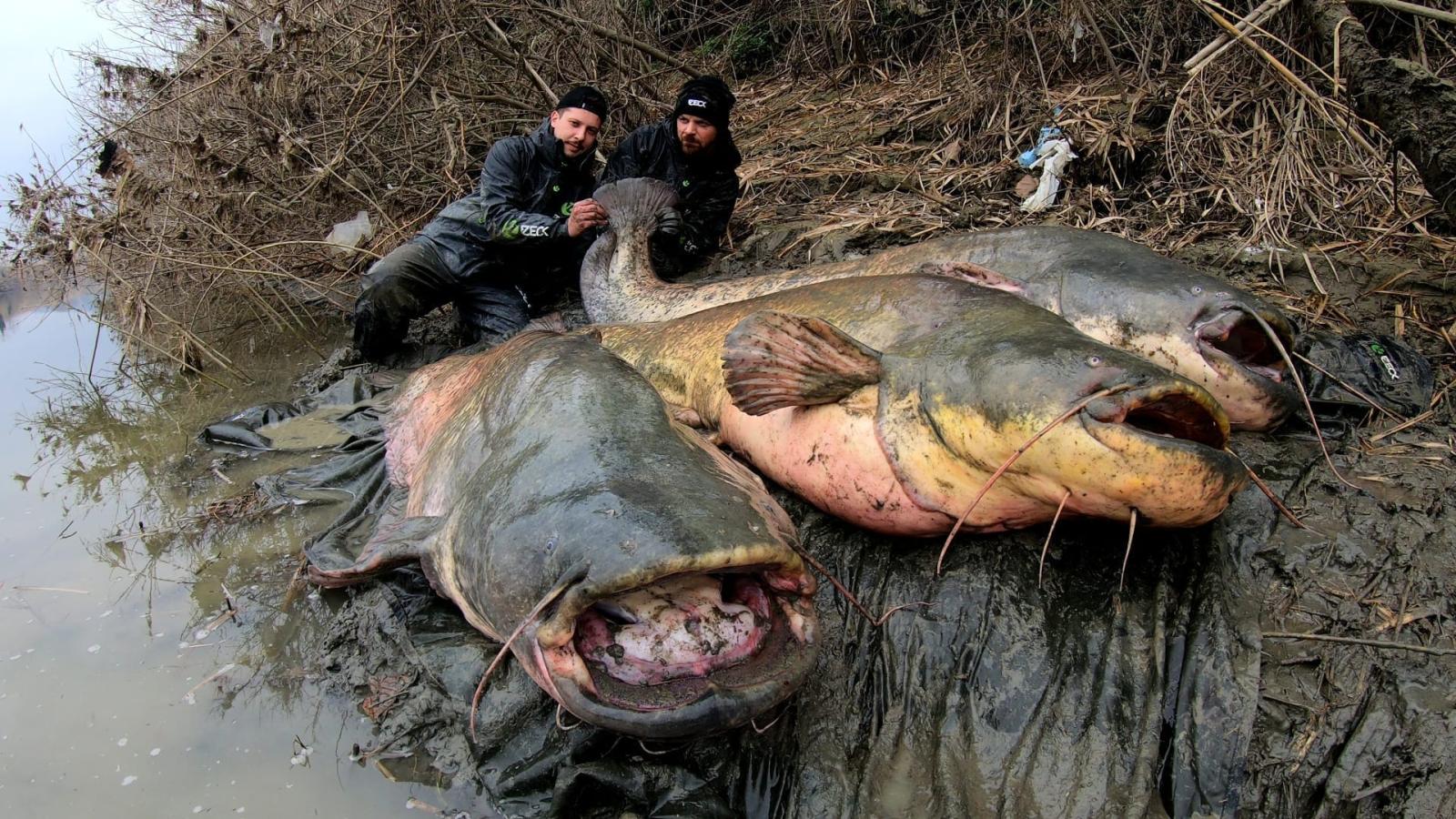 Una pesca mostruosa, tre "over" in una notte