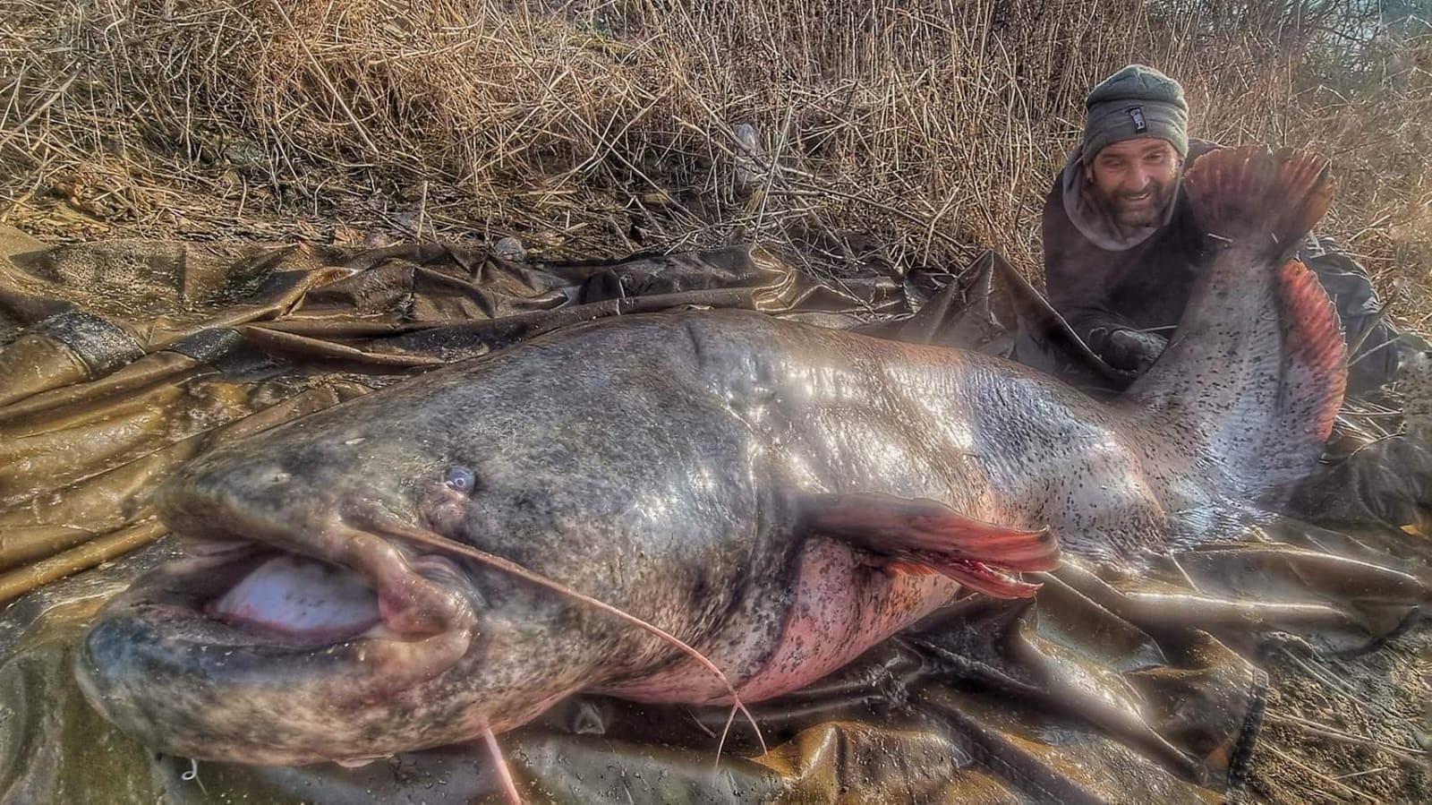 Un altro "river monstre" finisce all'amo