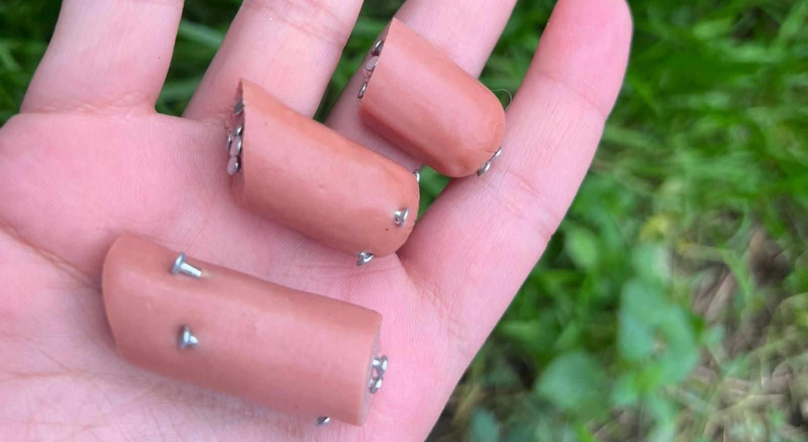 Wurstel coi chiodi per uccidere i cani