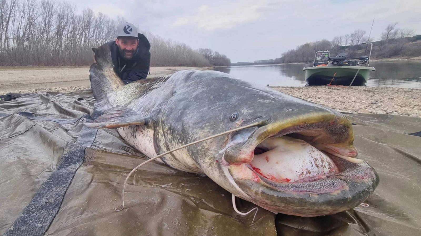 Il gigante del fiume