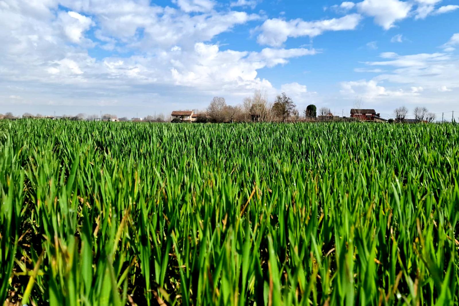 La siccit&agrave; cambia faccia alla nostra campagna