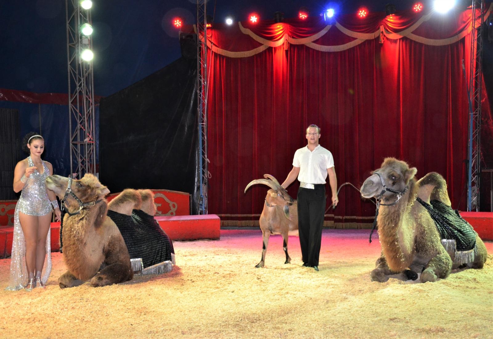 Torna il circo Busnelli e diventa parco all&rsquo;aria aperta