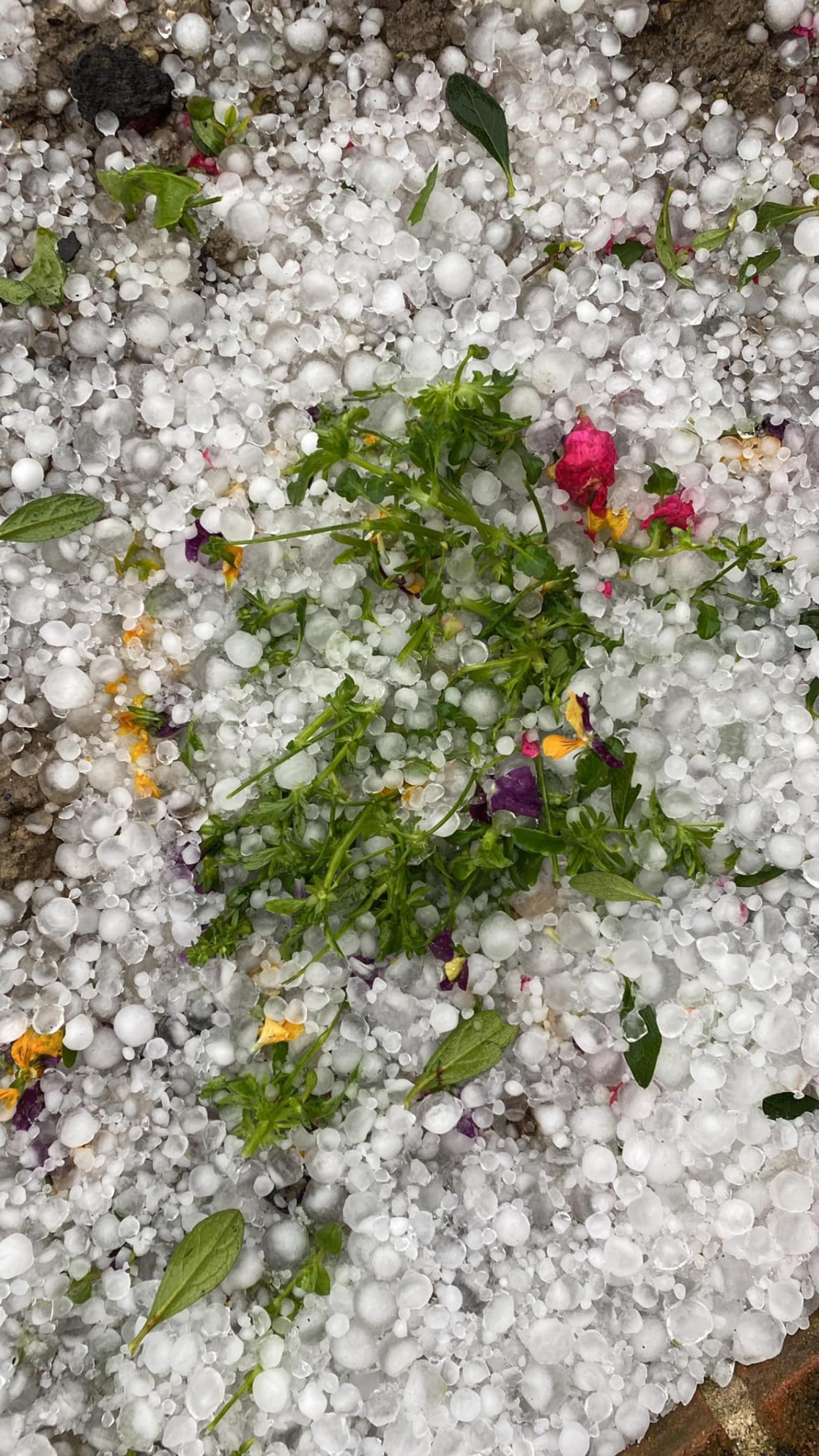 Nubifragio in Basso Polesine, arriva la grandine