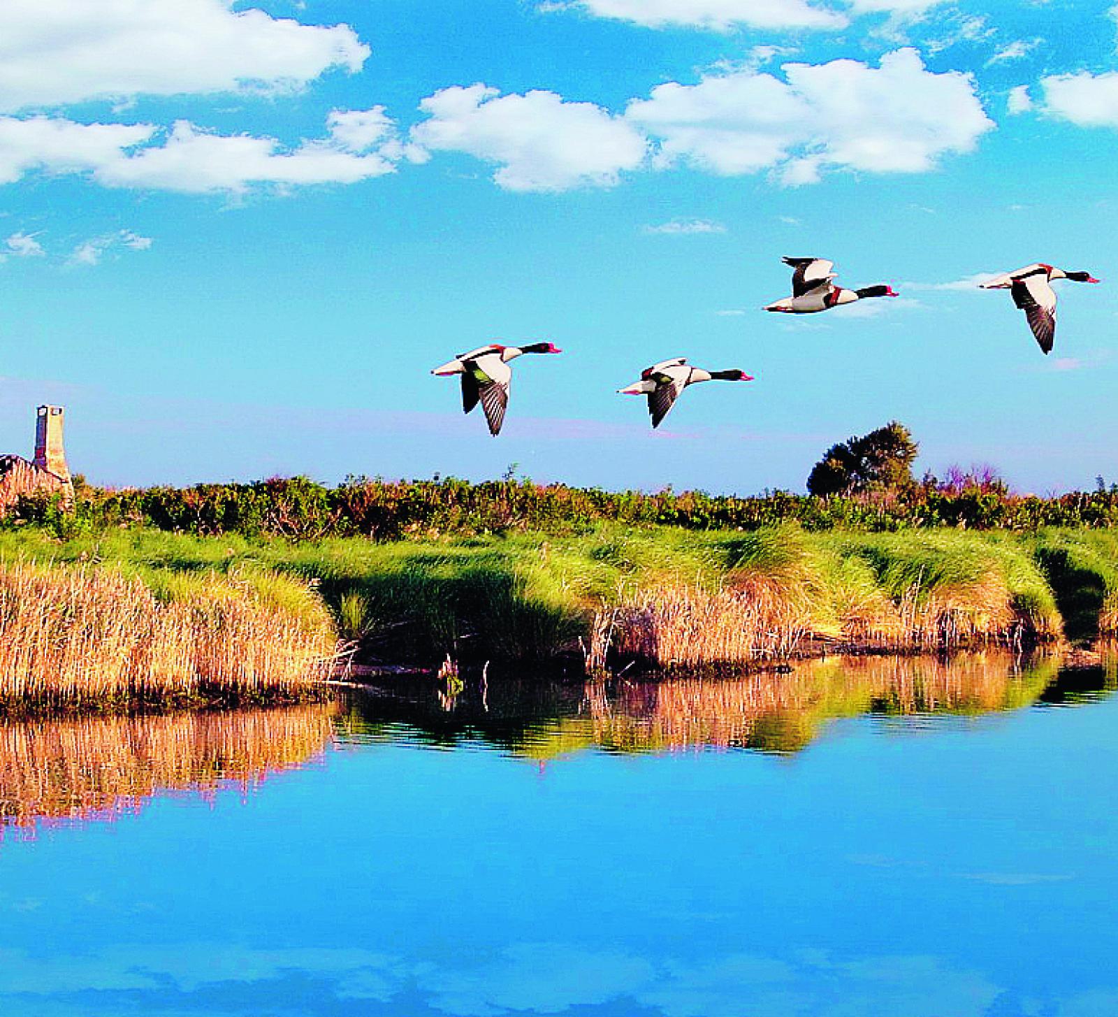 Incontro sullo sviluppo locale