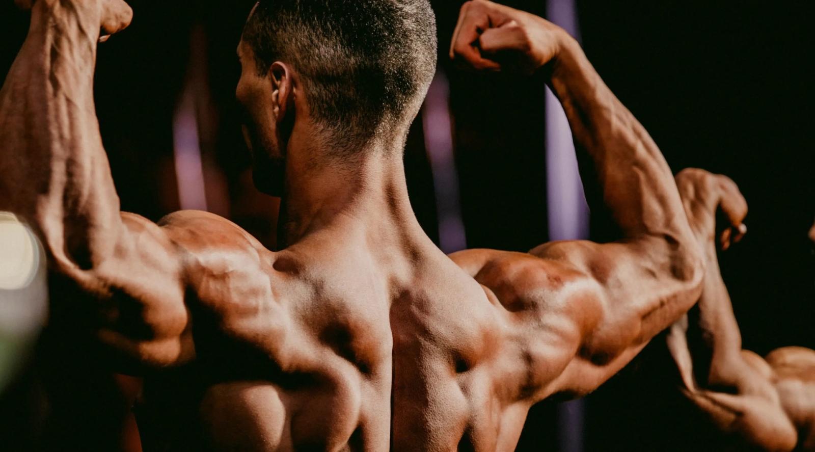 Il bodybuilding protagonista