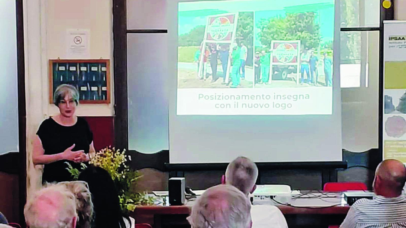 Apicoltore, i segreti del mestiere