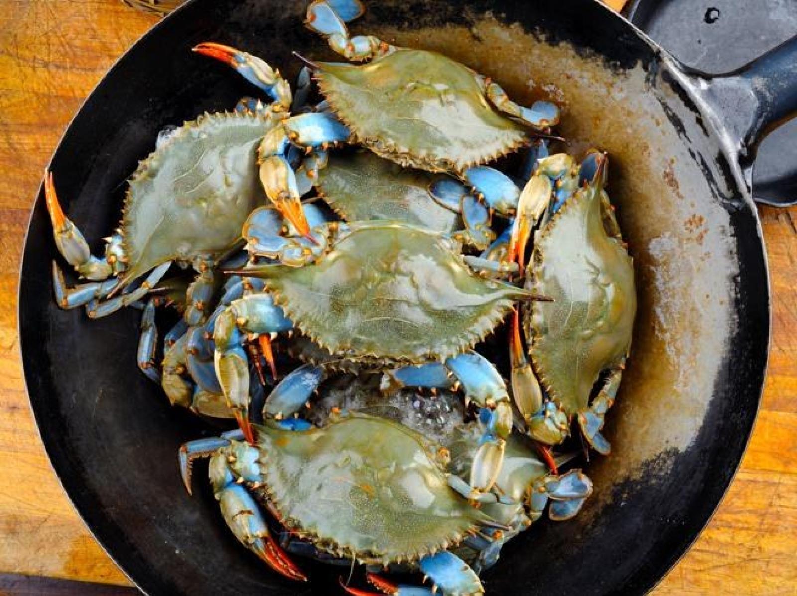 In un mese, pescati 2200 quintali di granchio blu