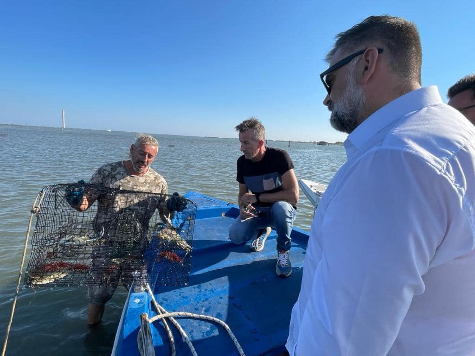 "Granchio blu da eradicare il maniera decisa"