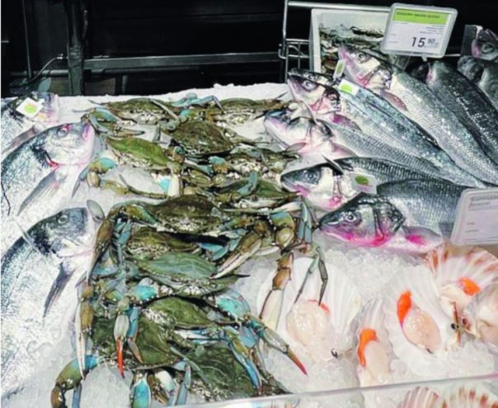 Il granchio blu arriva nei nei supermercati 