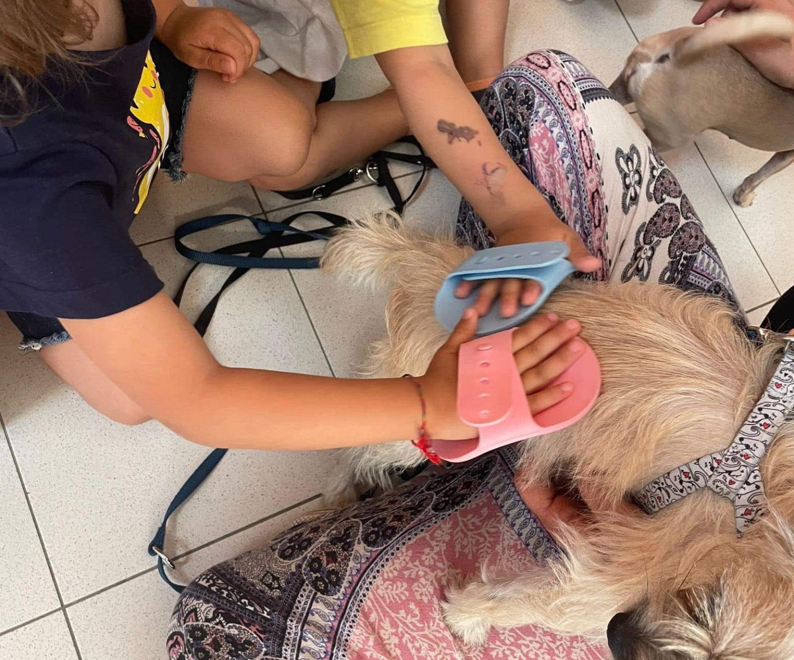 Il Comune di Polesella investe nell'asilo nido "Gattonando" 