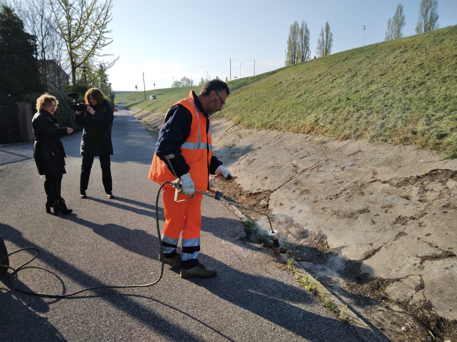 Comuni liberi dai pesticidi, il sindaco Coizzi scrive al ministro dell'ambiente