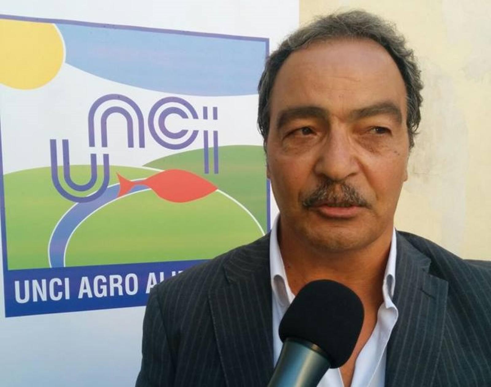 Unci AgroAlimentare elogia i nuovi provvedimenti contro il granchio blu