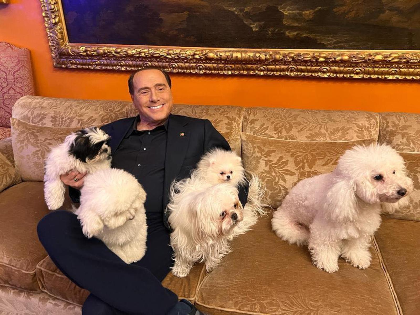 Berlusconi con alcuni dei suoi amati cani