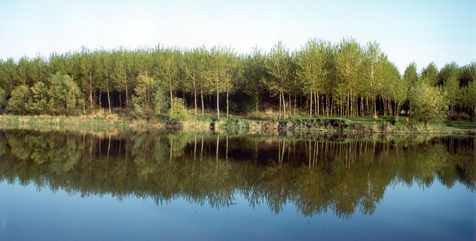 Rinaturazione del Po, Confindustria promuove la sospensiva del progetto