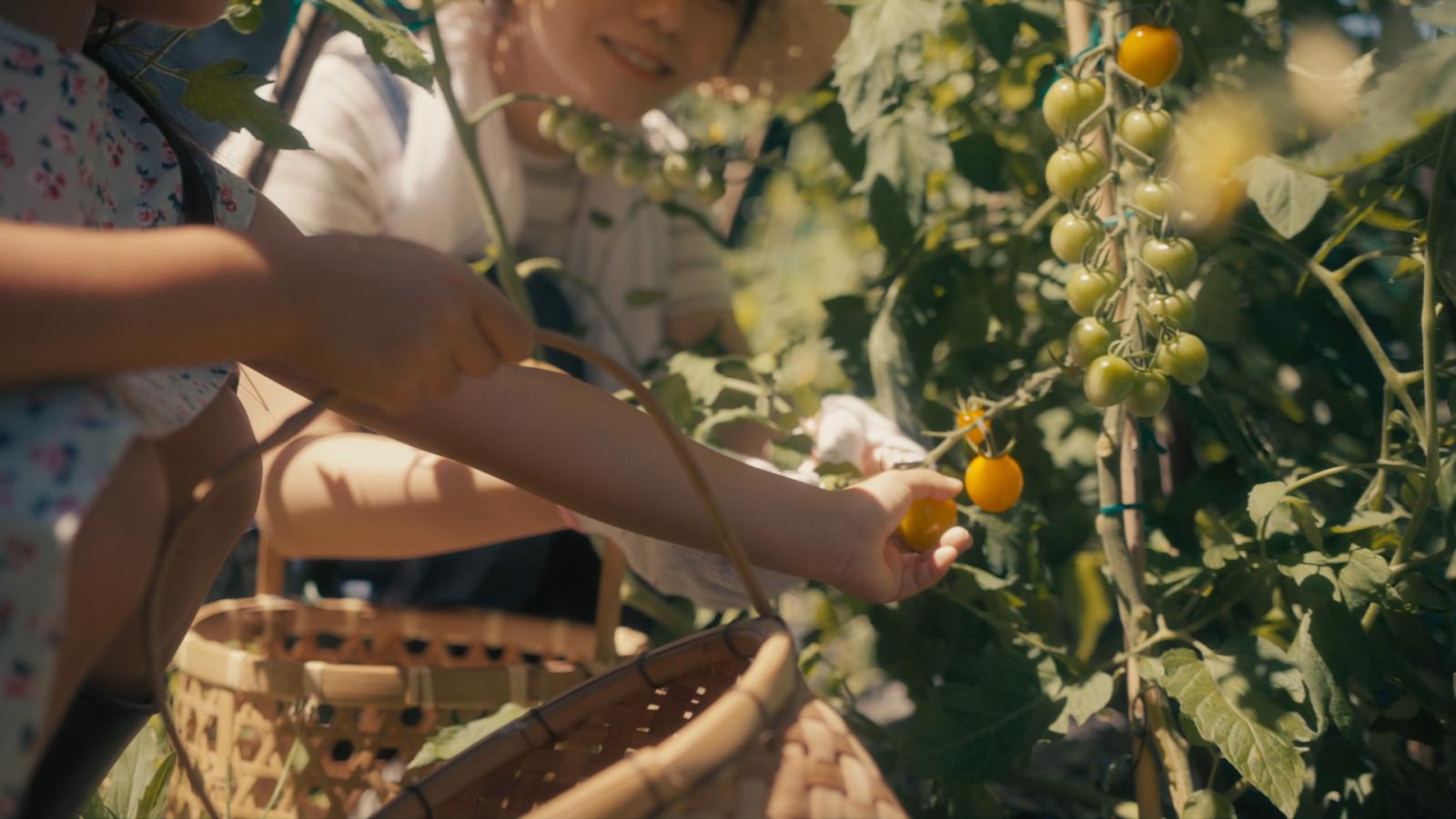 Faedesfa, l'educazione riparte all'aperto