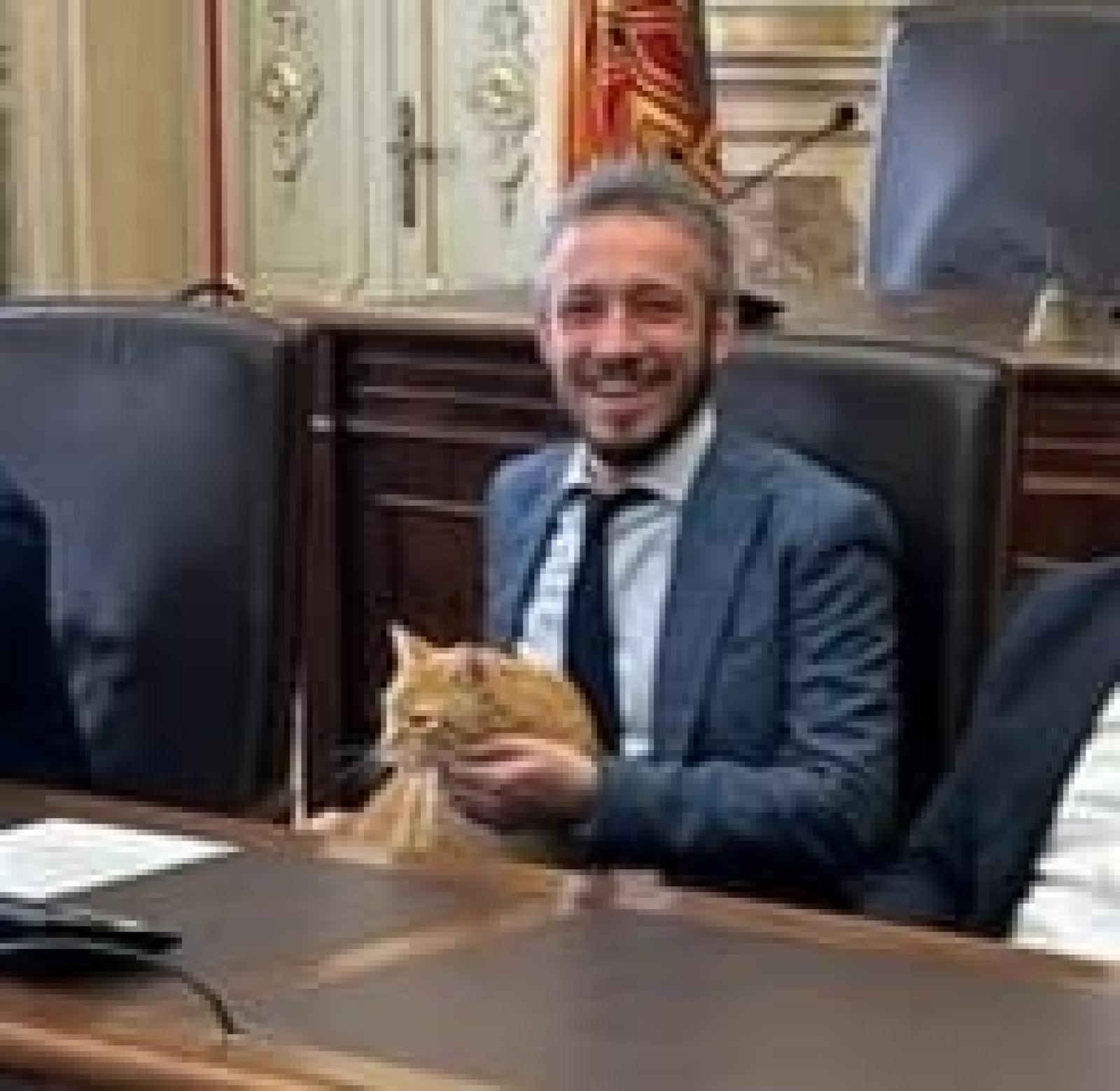 Gatto Rossini si lancia in braccio al presidente della Provincia