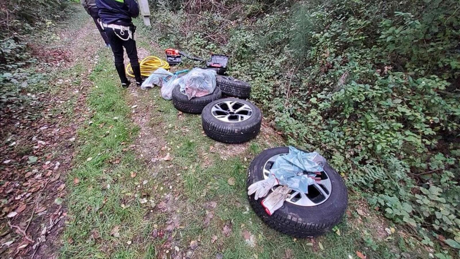 Il tesoro dei ladri? Nascosto sotto i cespugli