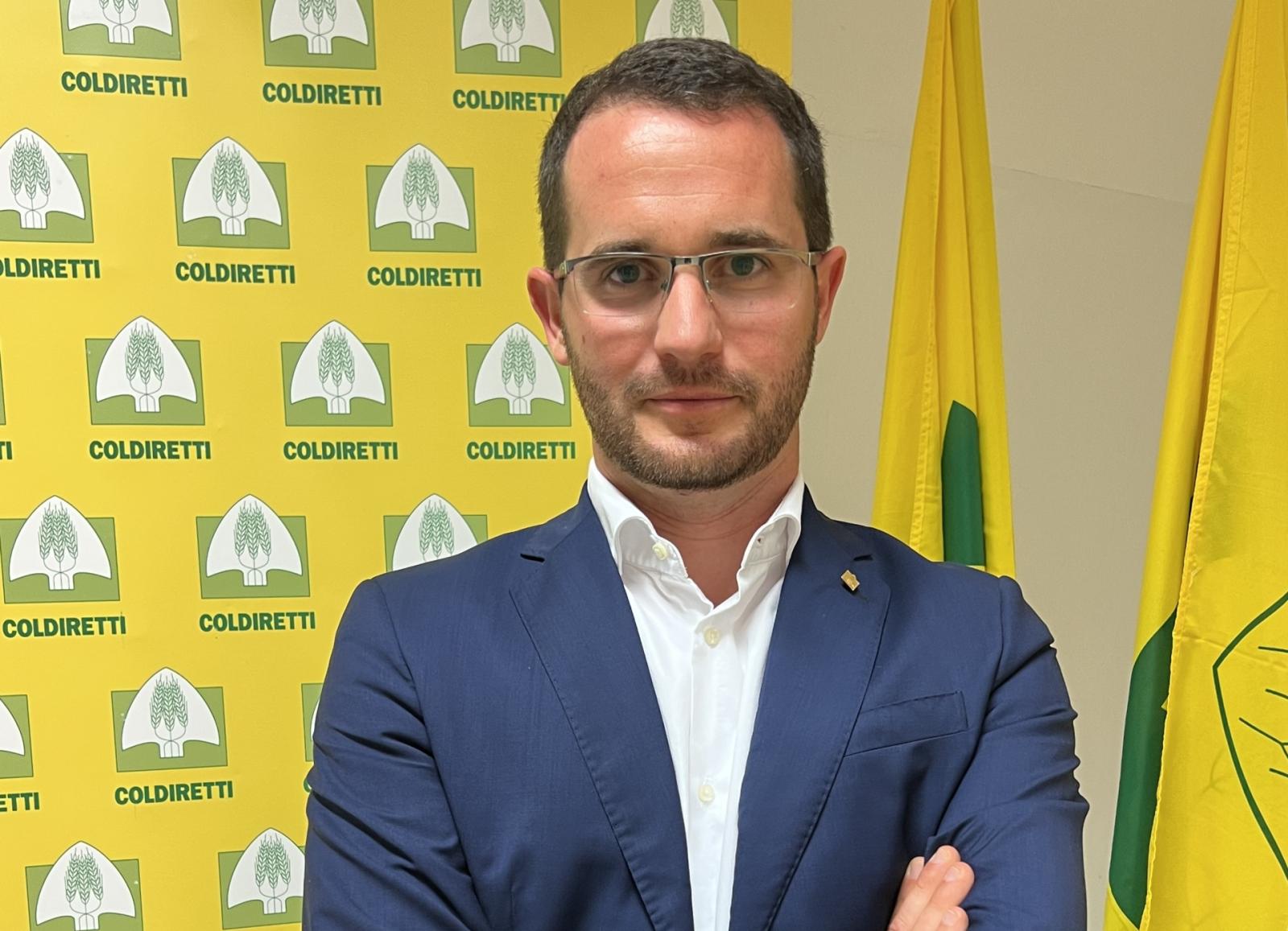 Crisi del mais in Italia: una minaccia per l'allevamento e l'ambiente