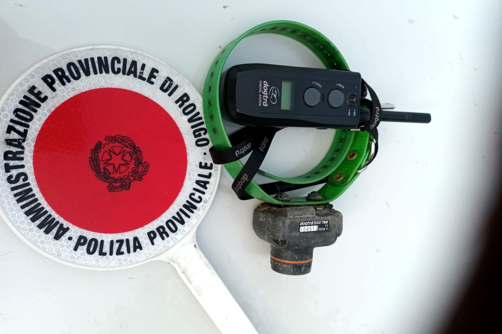 Spari tra le case e collari per torturare i cani