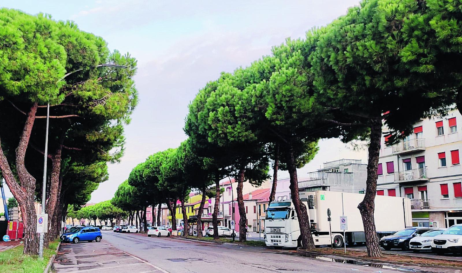 Canareggio, progetto da rivedere