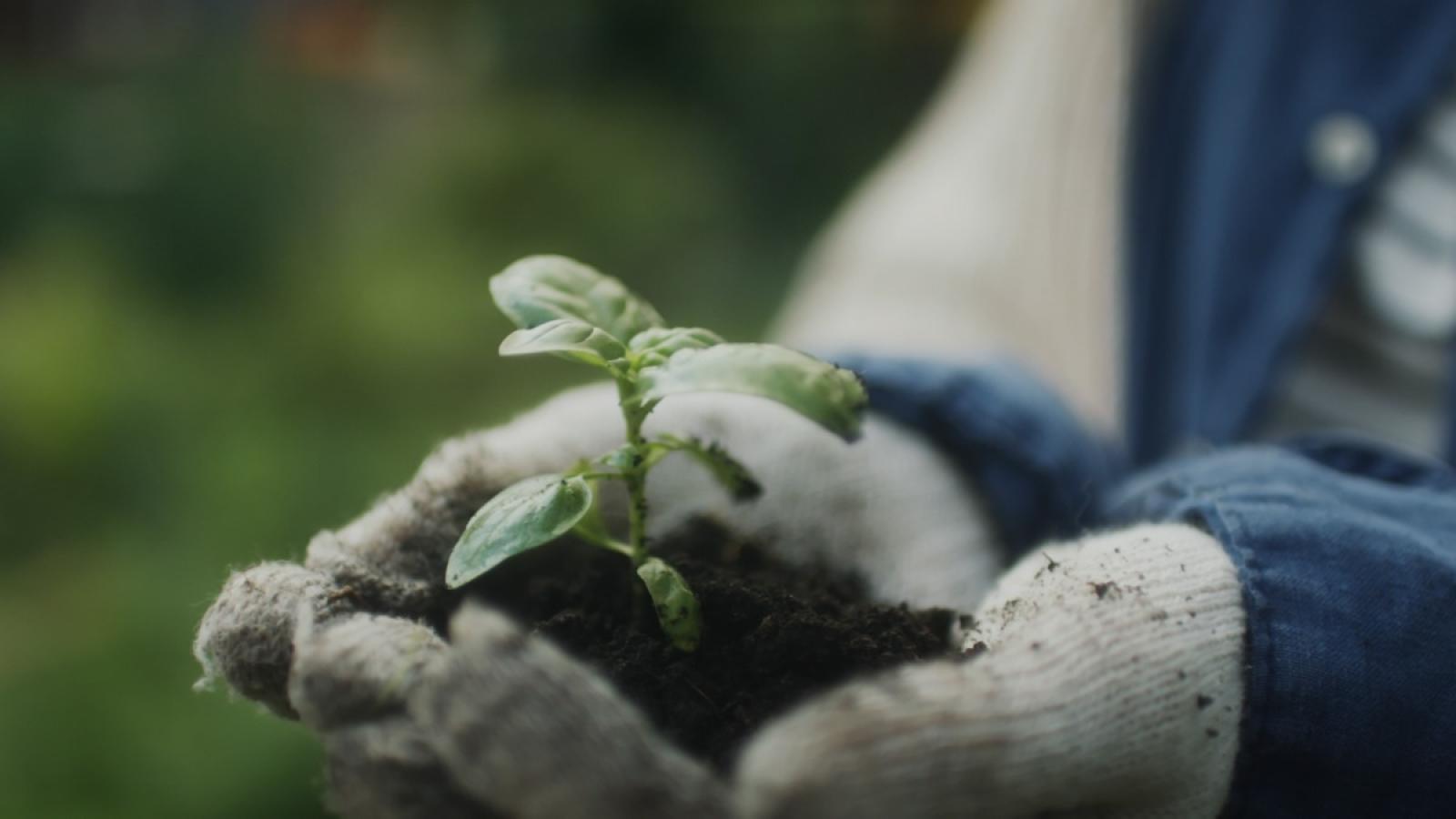 Lusia, parte il progetto del Giardino dei Bambini 