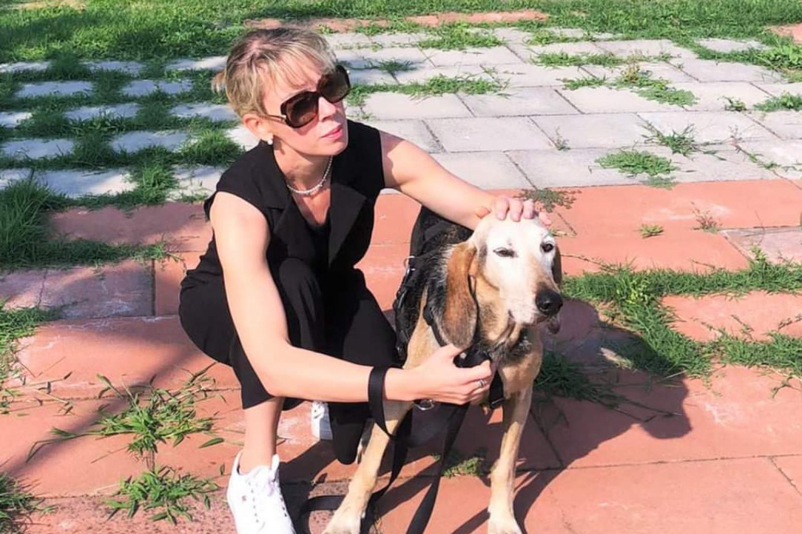 "Via la patente a chi abbandona il suo animale"