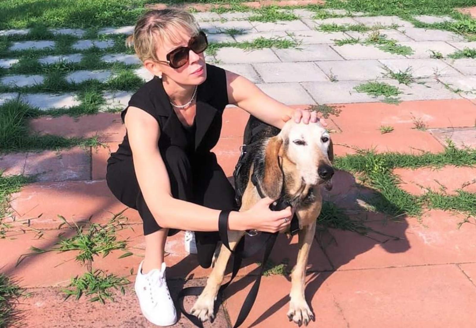 Ritiro della patente, per chi abbandona gli animali per strada