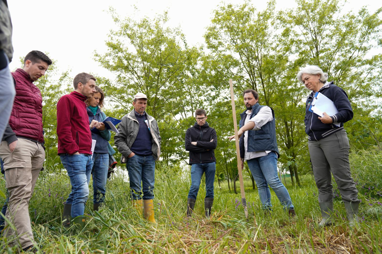 L&rsquo;innovazione passa per la cooperazione: le opportunit&agrave; del CSR 2023-2027 Veneto per il settore rurale