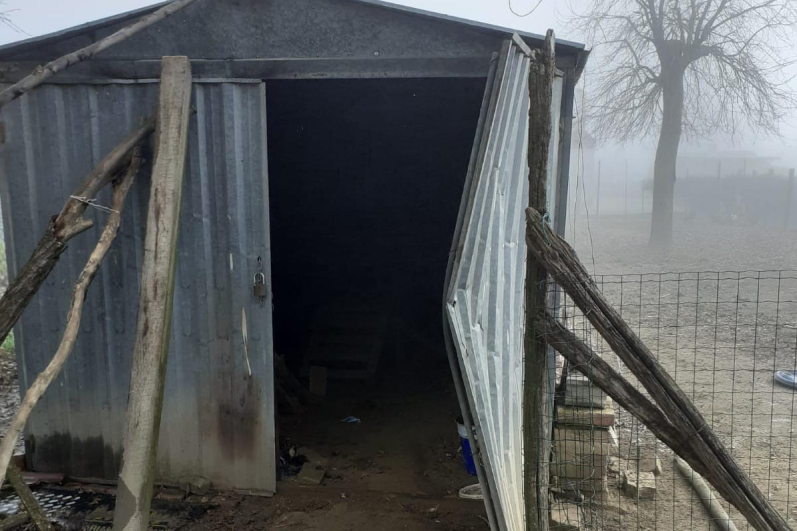 Forzano il pollaio e bruciano vive tutte le galline