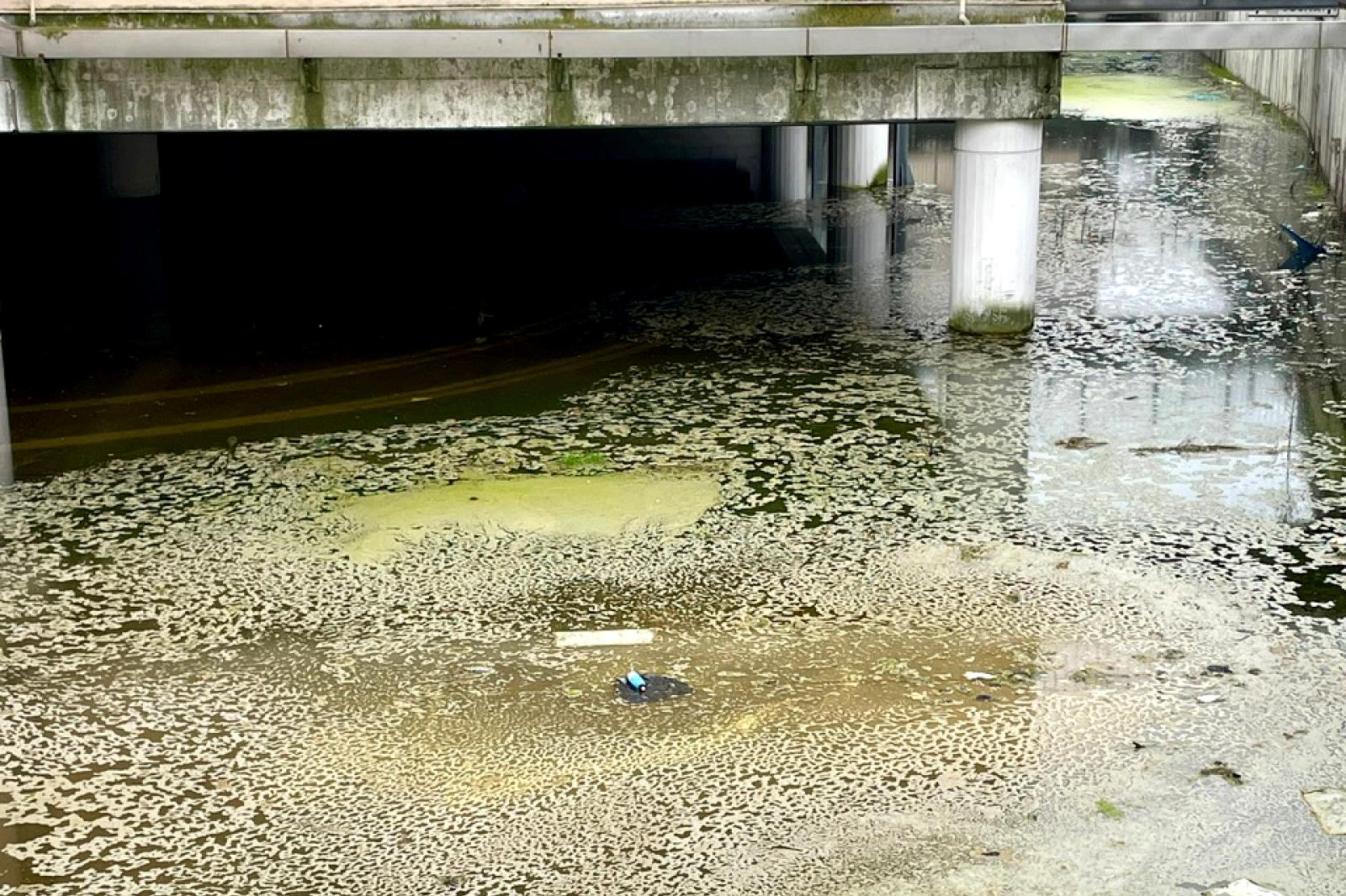 "Intervenite subito, prima del caldo"