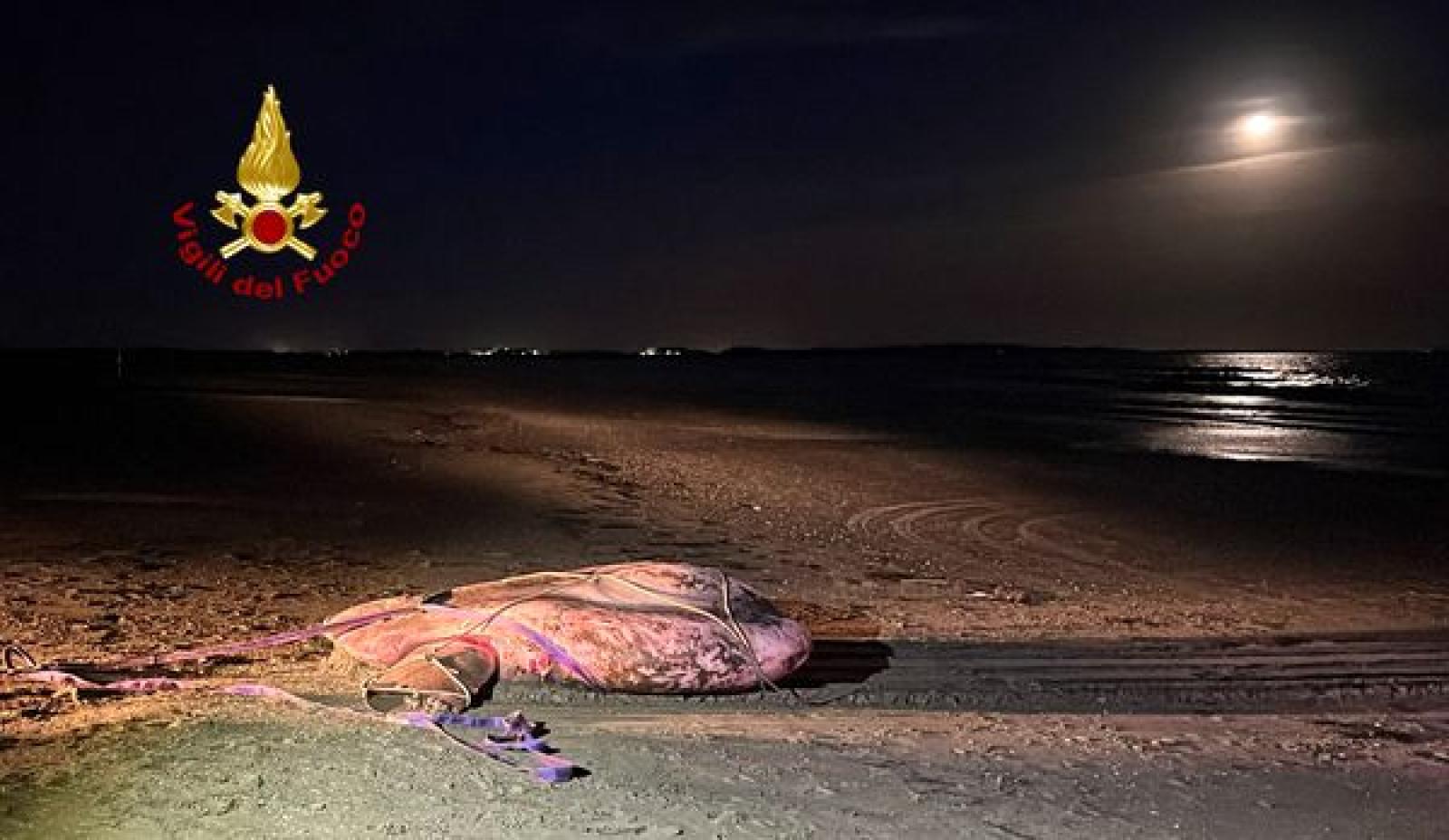 Enorme pesce Luna si spiaggia al Lido
