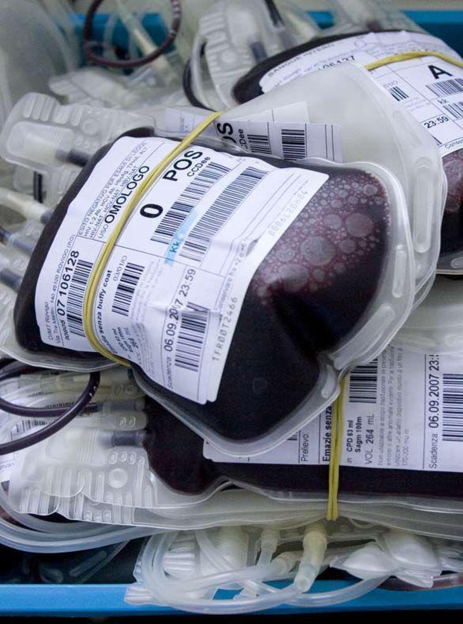 Donazioni di sangue: Polesine al top