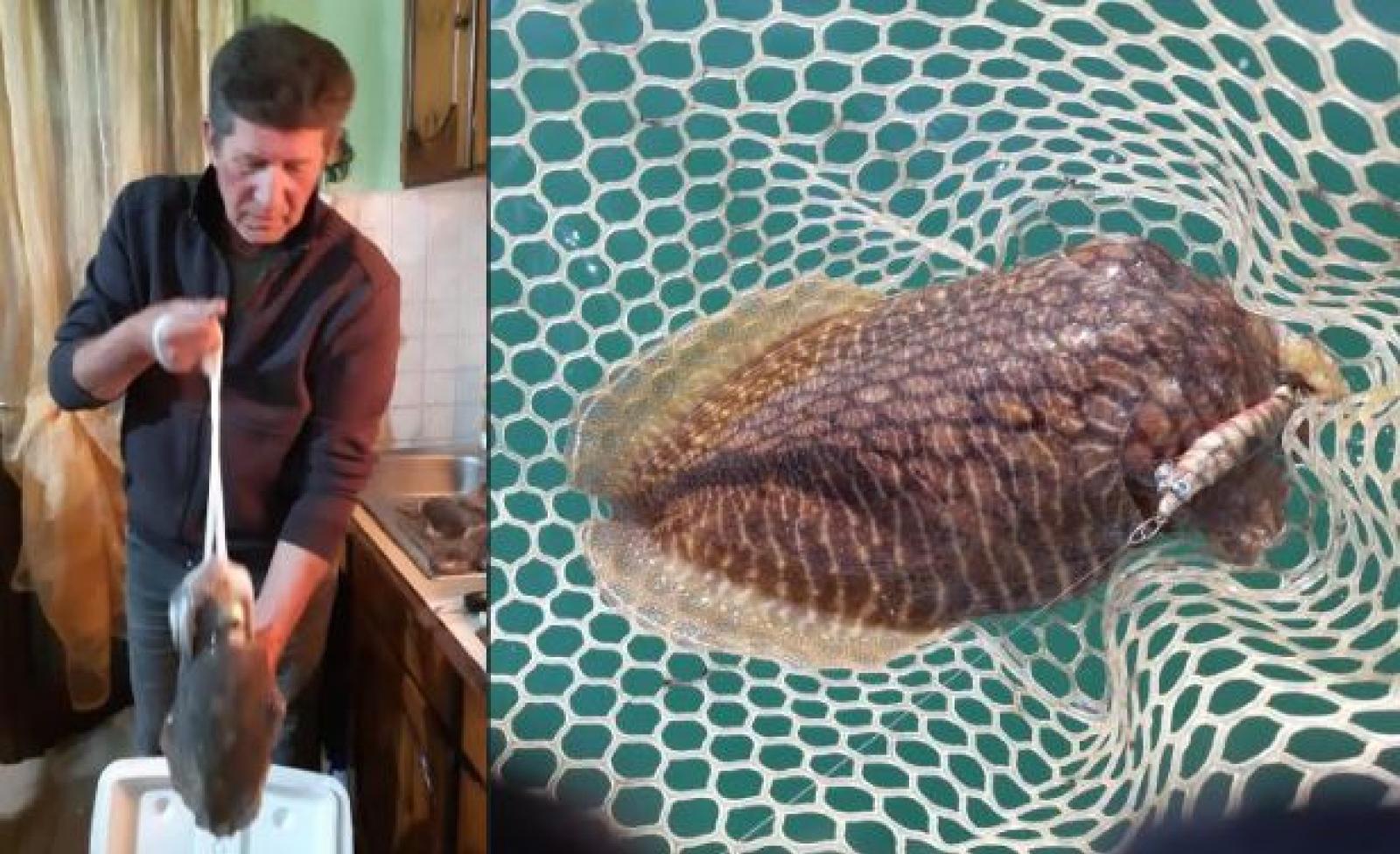 Stefano in barca prende all'amo una seppia da record