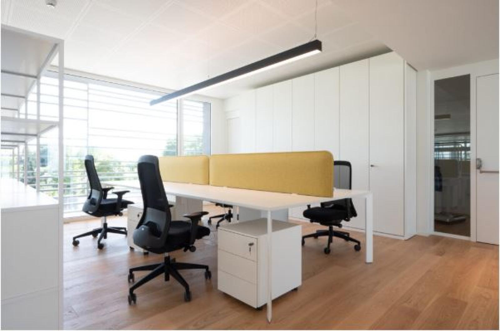 Arredare l&rsquo;ufficio in modo estetico e funzionale: ecco i consigli di maggior tendenza