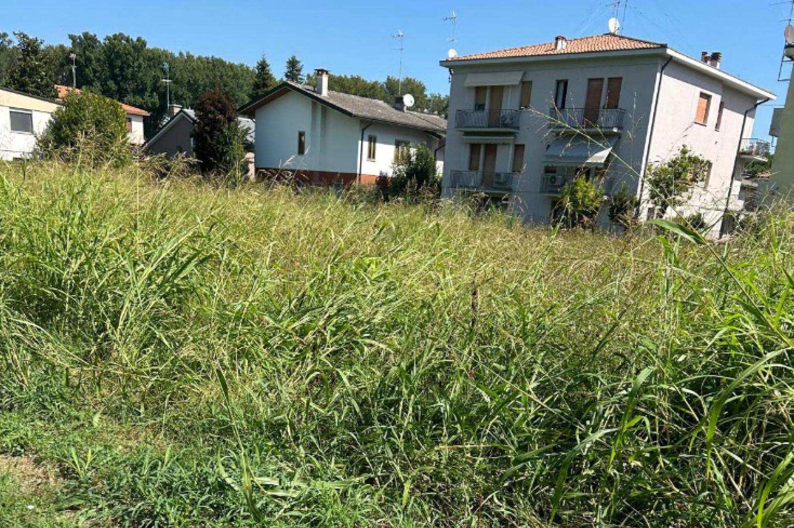 "Sfalcio non fatto": quartiere in rivolta