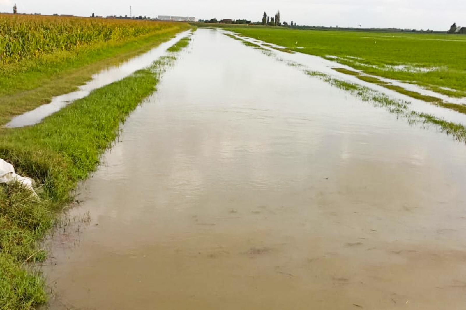 Campi sott'acqua, tutto da rifare