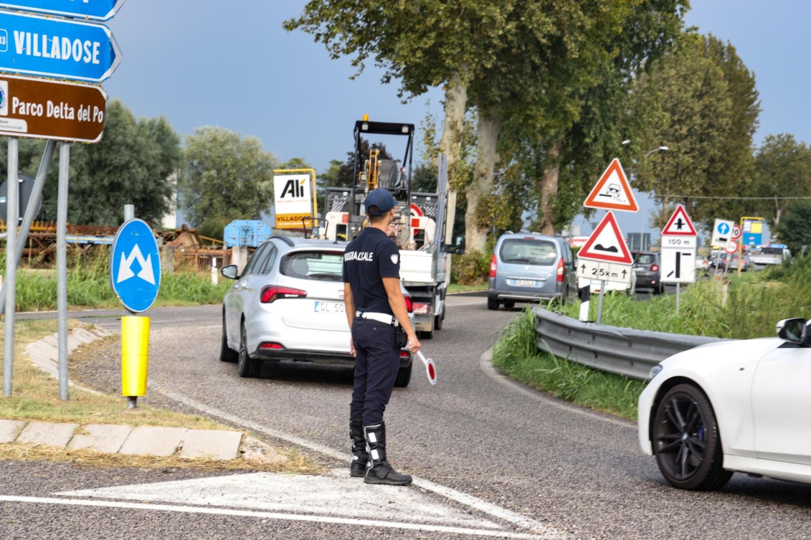 Cade un albero, strada bloccata