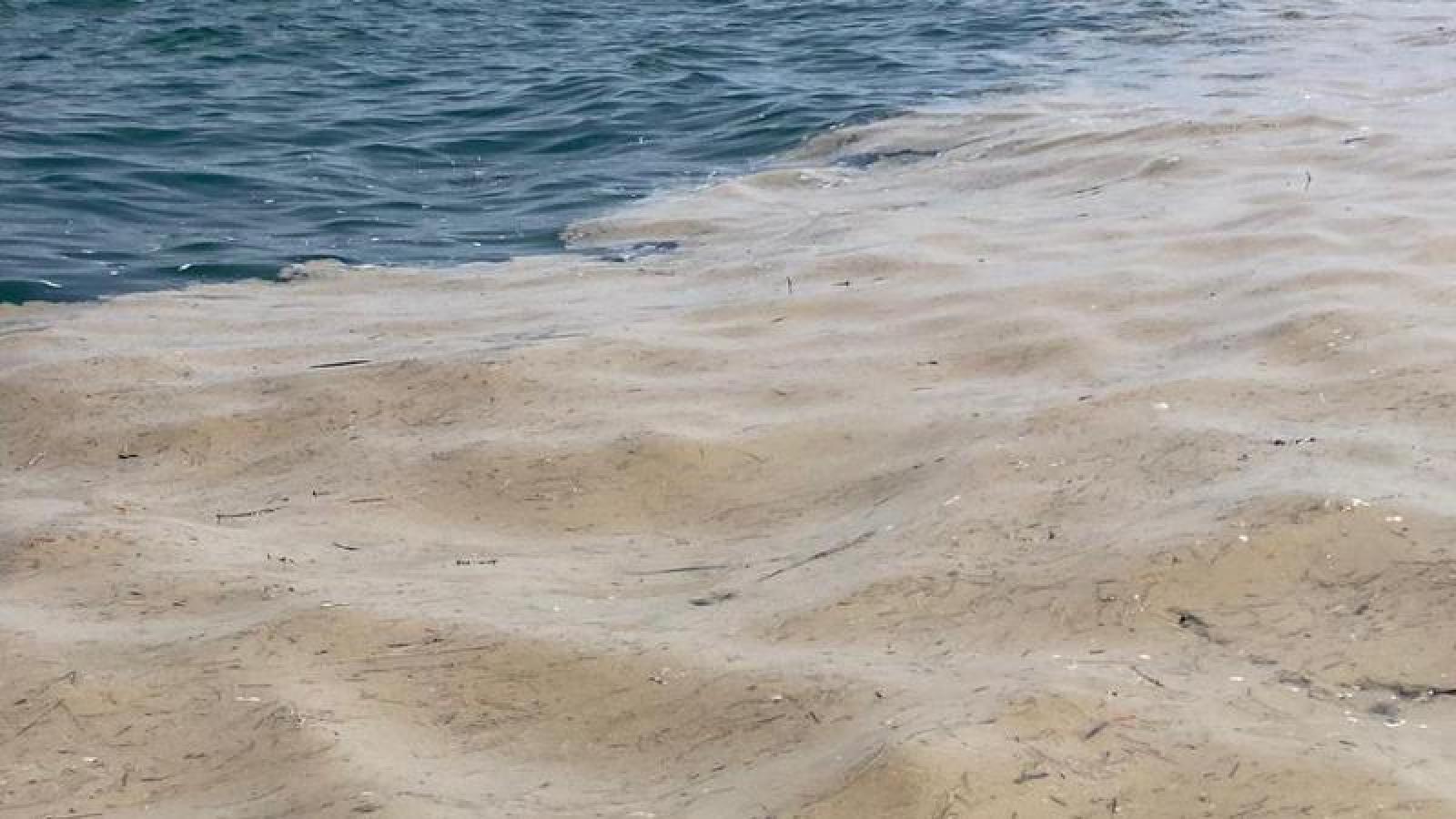 Mucillagine, verso lo stato di calamit&agrave;