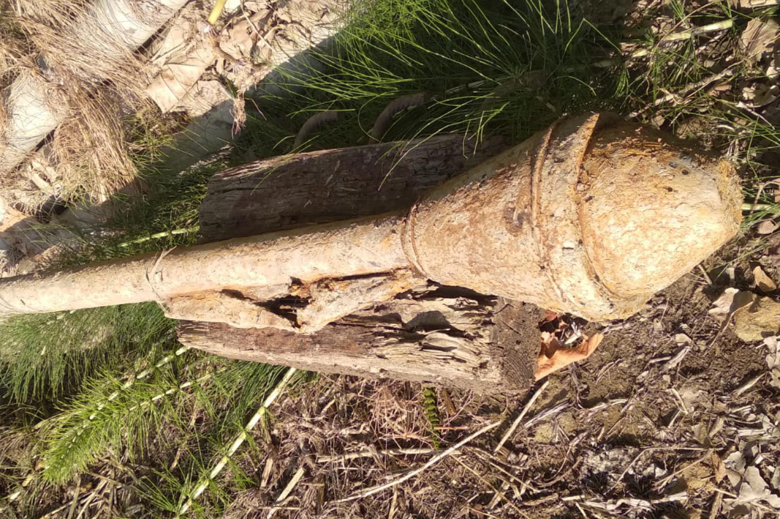 Spunta un ordigno bellico