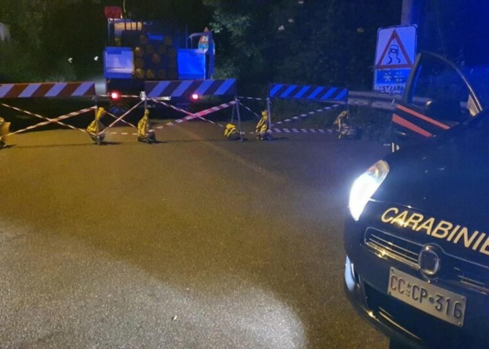 Albero cade su due auto Transpolesana in tilt