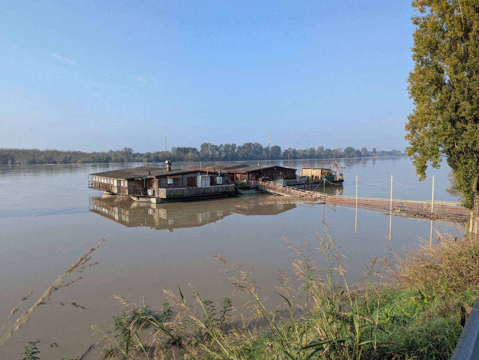 Il Po trova sfogo nella golena: "Tutto sotto controllo"