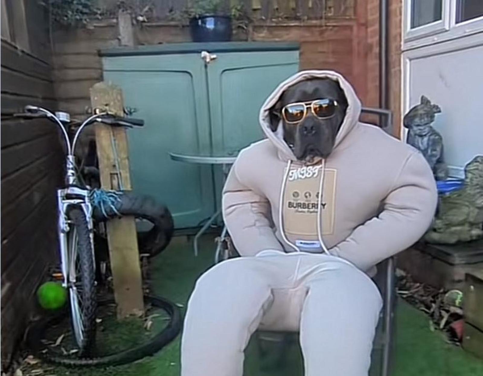 Mist, la regina di TikTok